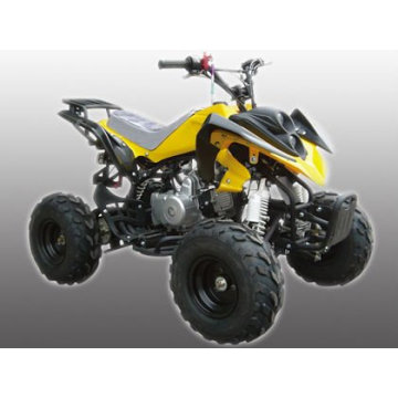 110CC ATV-3